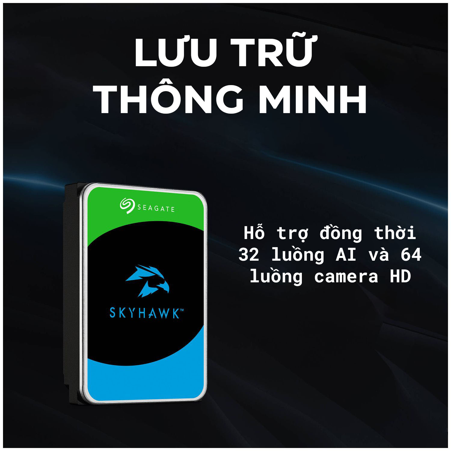 Ổ Cứng HDD Seagate SkyHawk AI