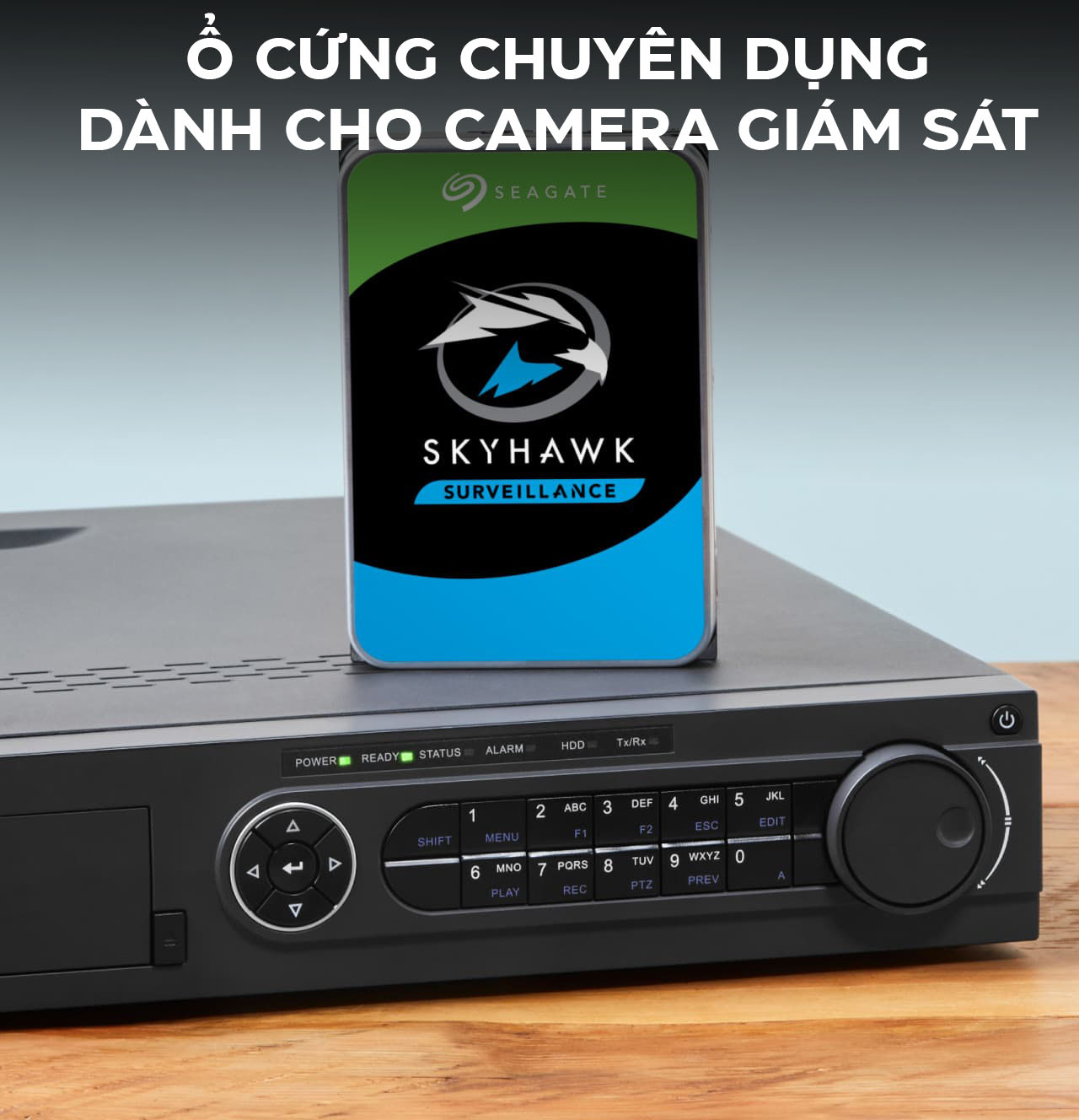 Ổ Cứng HDD Seagate SkyHawk AI